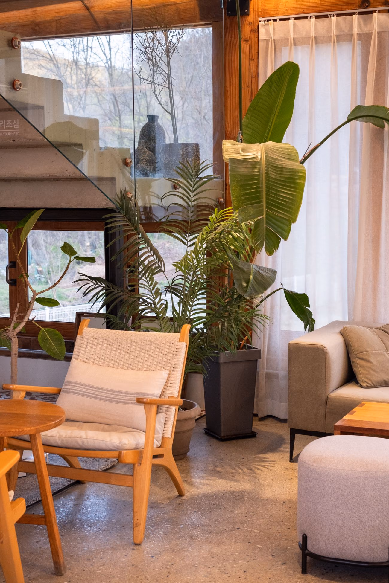 Sala de una casa con plantas y sillones claros